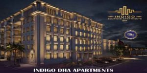 Indigo Developer